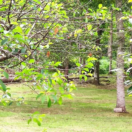 Airtegal Casa Do Puntal بيت للعطل *