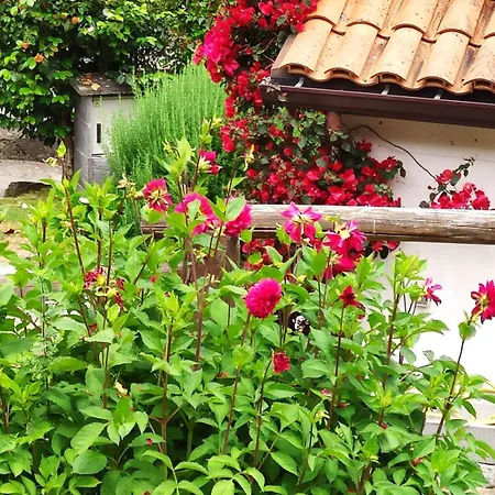 Airtegal Casa Do Puntal *