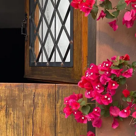 بيت للعطل Airtegal Casa Do Puntal