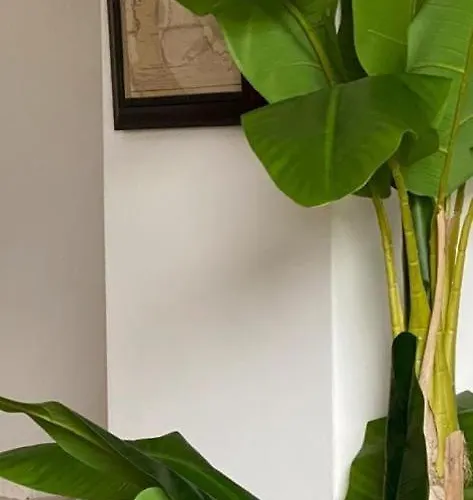 別荘 Airtegal Casa Do Puntal