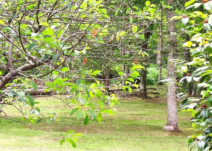 Airtegal Casa Do Puntal 別荘 *