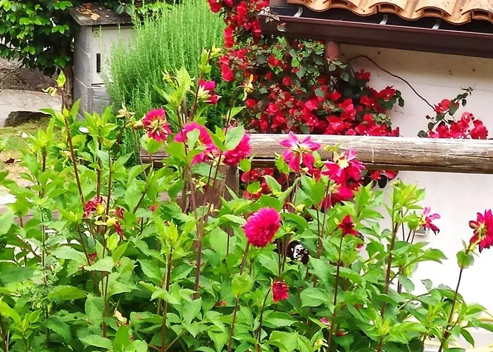 Airtegal Casa Do Puntal *